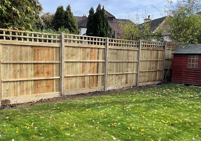 Four fence panels. topped with trellis and separated with concrete posts