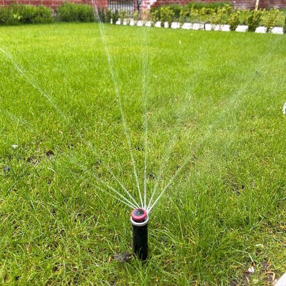 Irrigation of lawn using a lawn popup sprinkler