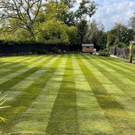 turfing-of-large-lawn